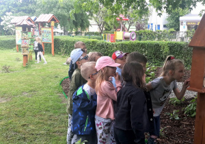 dzieci w ogrodzie przedszkolnym obserwują domek owadów