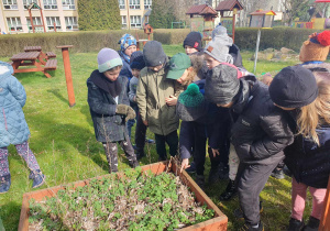 dzieci szukają oznak wiosny w ogrodzie przedszkolnym