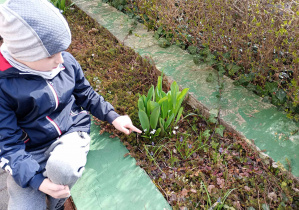 dzieci poszukują oznak wiosny w ogrodzie przedszkolnym