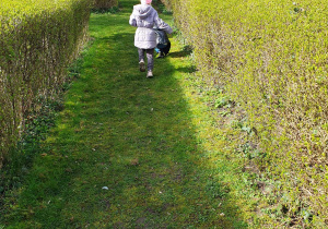 dzieci szukają niespodzianek ukrytych w ogrodzie przez Zajączka