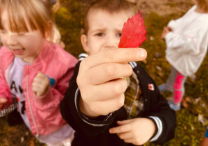 dzieci szukają oznak jesieni w ogrodzie przedszkolnym