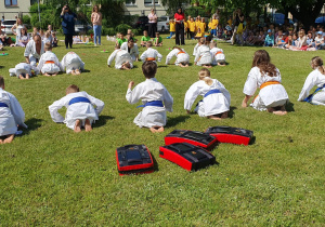 pokaz Zduńskowolskiego Klubu Karate Kyokushin,