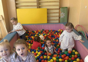 Zdjęcie 13 na 15
