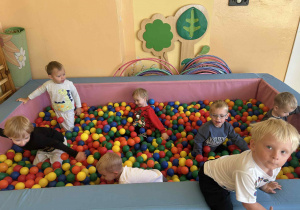 Zdjęcie 10 na 15