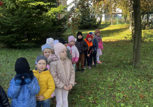 przedszkolaki zbierają kasztany