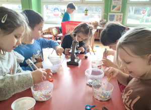 Doświadczenia badawcze