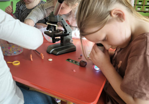 dzieci obserwują przez mikroskop