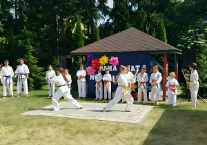 pokaz karate na festynie rodzinnym