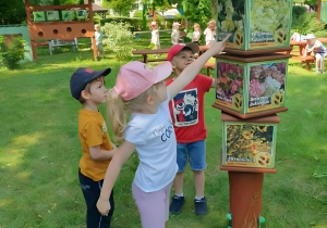 Na zdjęciu widoczne są dzieci uczestniczące w zajęciach w ogrodzie dydaktycznym. Przedszkolaki z zainteresowaniem oglądają tablice edukacyjne przedstawiające rośliny, które mogą rosnąć w ogrodzie.