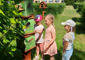 Fotografia ukazuje dzieci podczas zajęć przy tablicach przyrodniczych. Przedszkolaki rozpoznają i nazywają kwiaty oraz rośliny ogrodowe, rozwijając swoją wiedzę przyrodniczą.