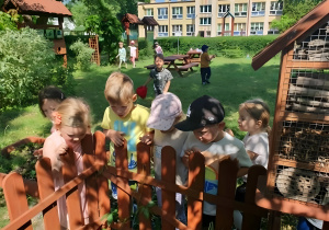 Na zdjęciu widoczne są dzieci skupione wokół tablic edukacyjnych prezentujących owady i kwiaty. Przedszkolaki z zaciekawieniem obserwują ilustracje i słuchają objaśnień nauczyciela.