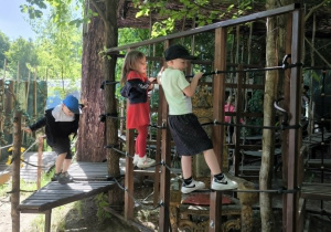 Na zdjęciu widać troje dzieci bawiących się na drewnianym placu zabaw podczas wycieczki na świeżym powietrzu. Dwoje dzieci wspina się po linowej konstrukcji zamocowanej między drewnianymi słupami, a jedno przechodzi po wąskim drewnianym pomoście. Wokół znajdują się drzewa i bujna roślinność, tworzące naturalne, zacienione otoczenie. Dzieci aktywnie uczestniczą w zabawie ruchowej, rozwijając sprawność, koordynację oraz umiejętność pokonywania przeszkód. Atmosfera zdjęcia oddaje radość i zaangażowanie uczestników podczas pobytu w Malinowym Grodzie.