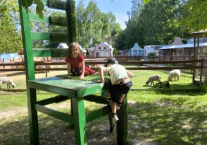 Na zdjęciu dzieci przechodzą przez tor przeszkód wykonany z drewnianych pomostów i lin. Przedszkolaki z zaangażowaniem pokonują kolejne etapy trasy, ćwicząc równowagę, koordynację ruchową i sprawność fizyczną.