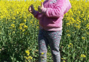 dziewczynka na kwitnącym polu