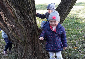 dzieci obserwują korę drzewa