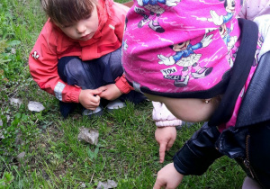 dziewczynki obserwują ślimaki