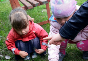 dzieci obserwują ślimaki