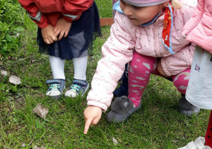 dziewczynki obserwuja ślimaki na trawie