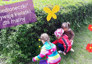 dzieci zrywają kwiaty