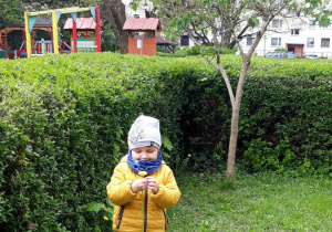 chłopiec w przedszkolnym ogrodzie