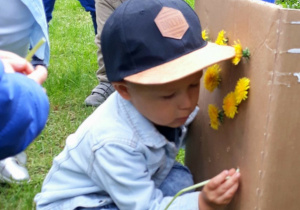 chłopiec przyczepia kwiatka do kartonu
