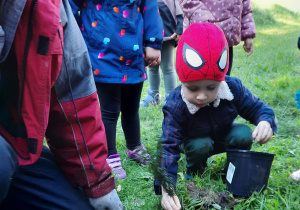 dziecko sadzi drzewo w ogrodzie przedszkolnym