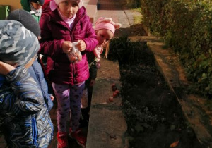 dzieci z panem sadza roślinki w ogrodzie przedszkolnym