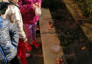 dzieci z panem sadza roślinki w ogrodzie przedszkolnym