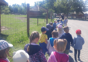 dzieci spacerują po zoo