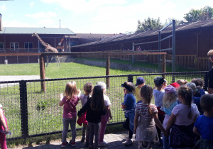 dzieci przyglądają się żyrafie