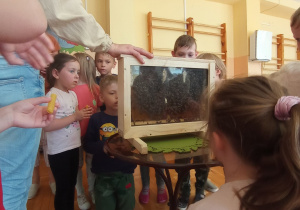 dzieci oglądają z bliska pracę pszczół