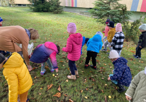 dzieci zbierają liście