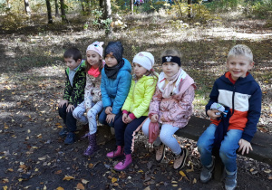 dzieci z grupy IV w lesie