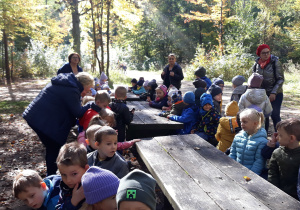 dzieci w lesie siedzą przy drewnianych stołach
