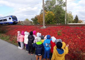 dzieci obserwują nadjeżdżający pociąg
