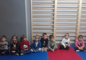 dzieci siedzą na niebiesko różowych matach, obserwują pokaz karate
