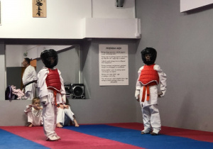 dzieci przebrane w strojedo ćwiczeń karate, wykonują polecenia instruktora