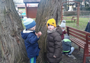 przedszkolaki wśród drzew