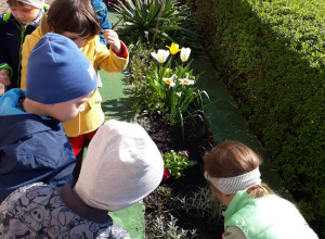 dzieci oglądają roślinki, które wyrosły w skrzynkach