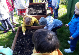 dzieci w ogrodzie przedszkolnym sieją nasionka do skrzynek