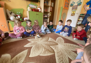 dzieci obserwują świnkę, która spaceruje po dywanie