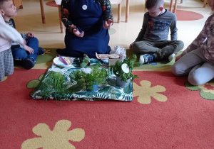 pani siedzi na dywania i opowiada dzieciom o roślinach, objaśnia sposób sadzenia roślin