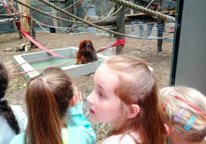dzieci oglądają zwierzęta z bliska w ich naturalnym środowisku