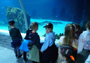 dzieci spacerują w podwodnym tunelu podziwiają podwodny świat zwierząt