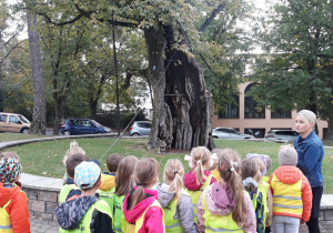 przedszkolaki oglądają najstarsze drzewo znajdujące się w parku