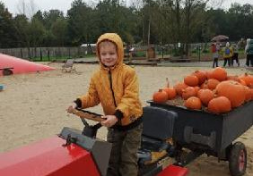 chłopiec siedzi na traktorze, w przyczepie leżą pomarańczowe dynie
