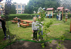 w ogrodzie przedszkolnym, dzieci stoją za drzewkiem