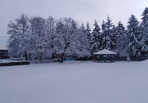 widok na ogród zimą
