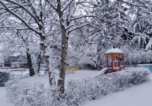 widok na ogród zimą